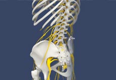 Lumbar Sympathetic Block