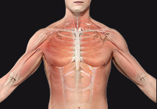 Myofascial Pain Syndrome (Trigger Points)